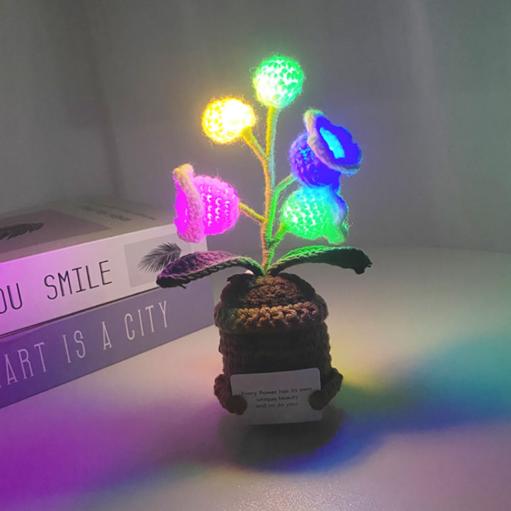 Handmade Crochet Potted Plant Light