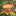 Hedgehog Mushroom Outdoor Bird Feeder