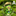 Adorable Musician Frog Garden Figurine