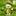 Adorable Musician Frog Garden Figurine