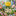 Colorful Tulip Bee Watering Station