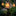 Solar Powered Reading Hedgehog Garden Stake Light