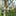 Colorful Birds On a Branch Window Hanging Decor