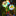 Solar Powered Dandelion Butterfly Garden Pathway Lawn Stake Light