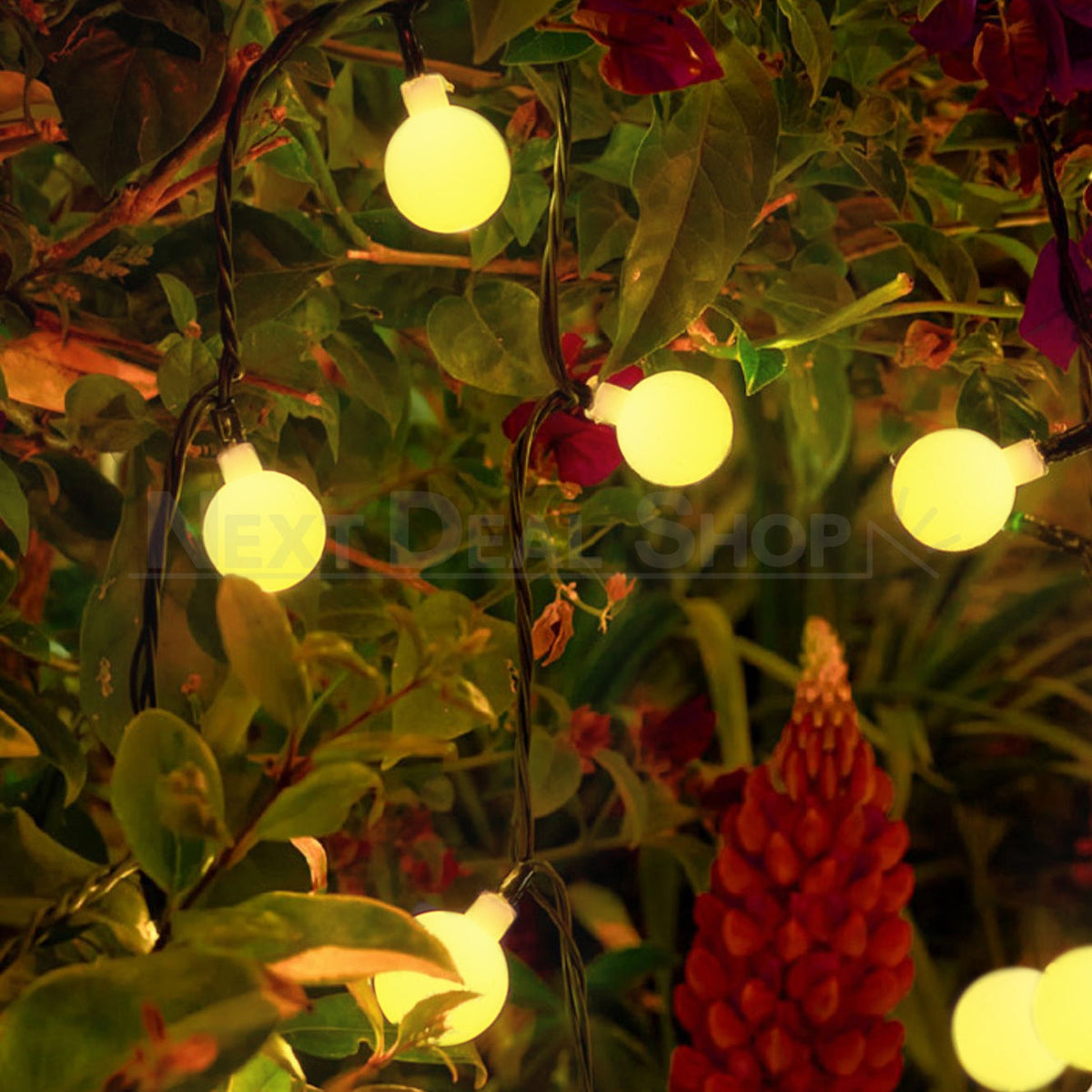 Solar-Powered LED Globe Outdoor String Light (50 LED)-NDS Shop-Next Deal Shop