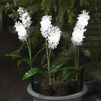 Solar Powered LED Hyacinth 3 Piece Stake Set - Weatherproof Yard Garden Flower Bed Outdoor Decor Lighting