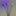 Halloween LED Spider Stake Lights Outdoor Pathway Garden Yard Decor-View 5-Next Deal Shop