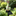 Adorable Solar Powered LED Duck Garden Yard Lawn Stake Light-A-View 3-Next Deal Shop