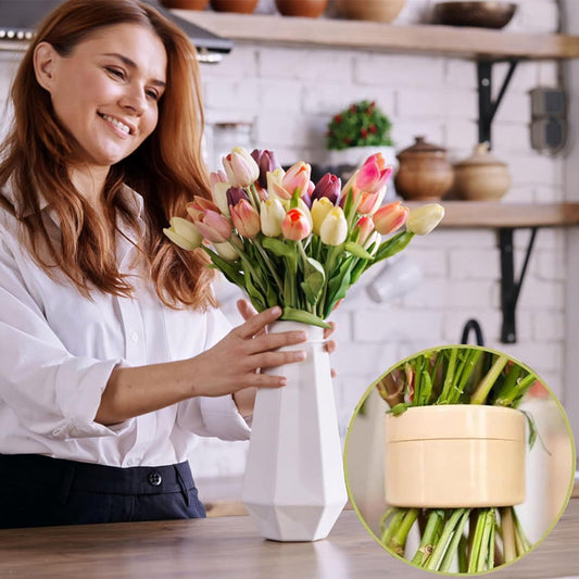 Spiral Ikebana Stem Holder-Next Deal Shop-Next Deal Shop