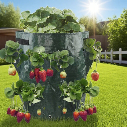 10 Gallon Strawberry Grow Bag - Outdoor Garden Yard Strawberry Vegetable Growing Planter