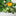 Colorful Cactus Flower Pot Decor