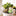 Adorable Frog Shaped Plant Watering Spike