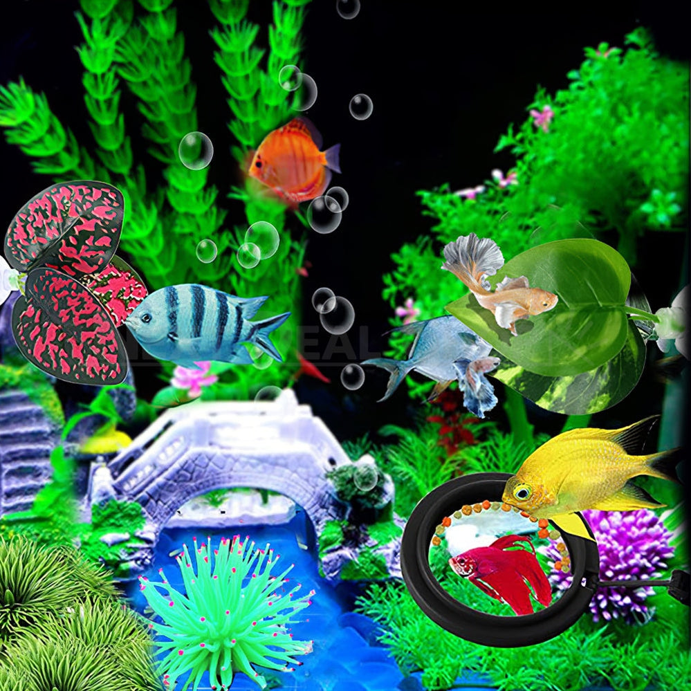 Betta Fish Aquarium Accessories Set