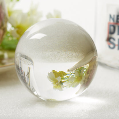 Crystal Decoration Ball - Take Amazing Photos!