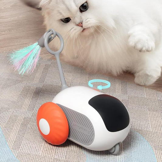 Remote Control Electric Cat Toy - Indoor Pet Interactive Play Toy