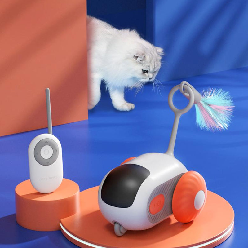 Remote Control Electric Cat Toy - Indoor Pet Interactive Play Toy