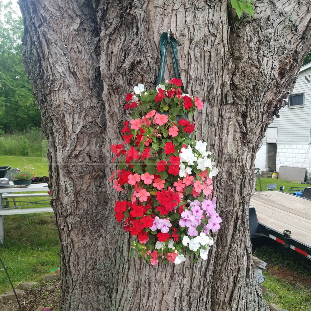 2 Packs - Vertical Hanging Plant Bag with 8 Slits-Next Deal Shop-Next Deal Shop