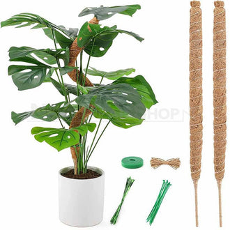 2 Pcs - Bendable Plant Pole for Climbing Plants
