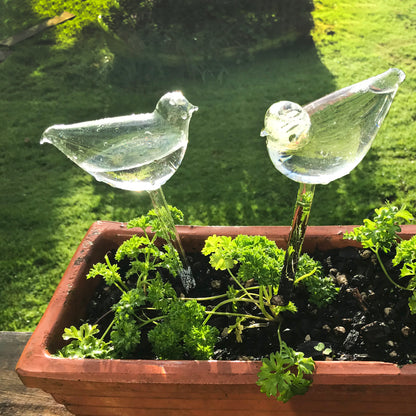 2 Pcs Self-Watering Plant Glass Bulbs