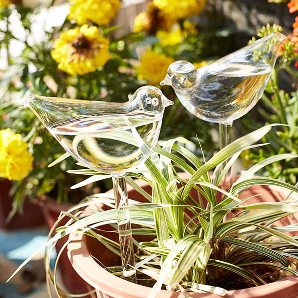 2 Pcs Self-Watering Plant Glass Bulbs
