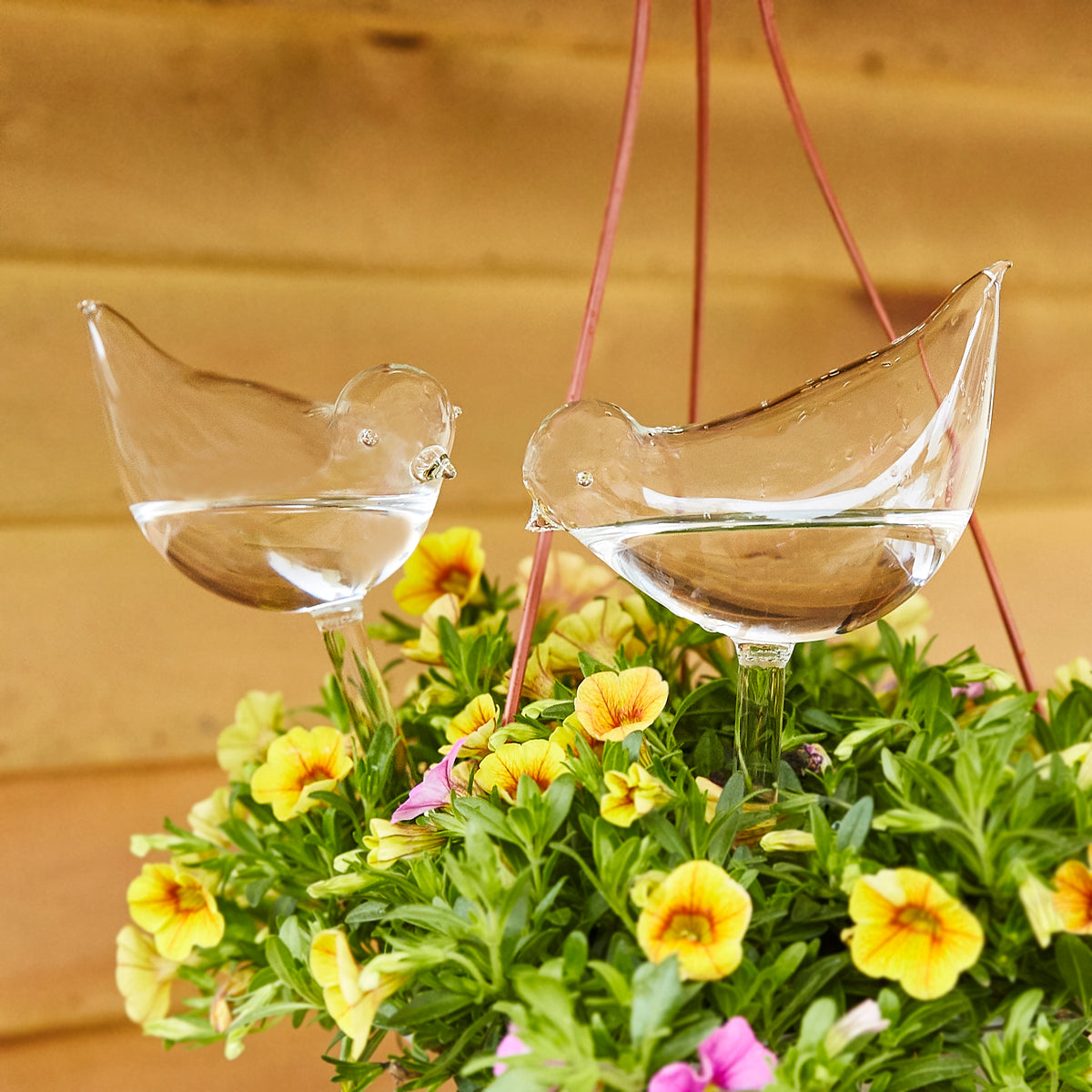 2 Pcs Self-Watering Plant Glass Bulbs