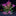 Aquarium Landscape Water Plant Decoration