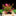 Aquarium Landscape Water Plant Decoration