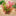 Aquarium Landscape Water Plant Decoration