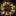 Nautical Iridescent Starfish LED String Light