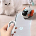 Remote Control Electric Cat Toy - Indoor Pet Interactive Play Toy
