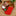 4 Pcs - Mini Christmas Stocking Set