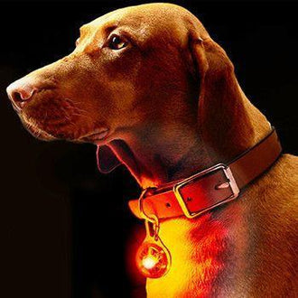 LED Clip-On Pet Safety Light