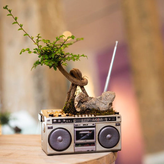 Retro Radio Flower Pot - Garden Patio Balcony Plant Growing Decor Planter