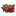 6.5ft Poinsettia Christmas Flowers LED String Light-Next Deal Shop-Next Deal Shop