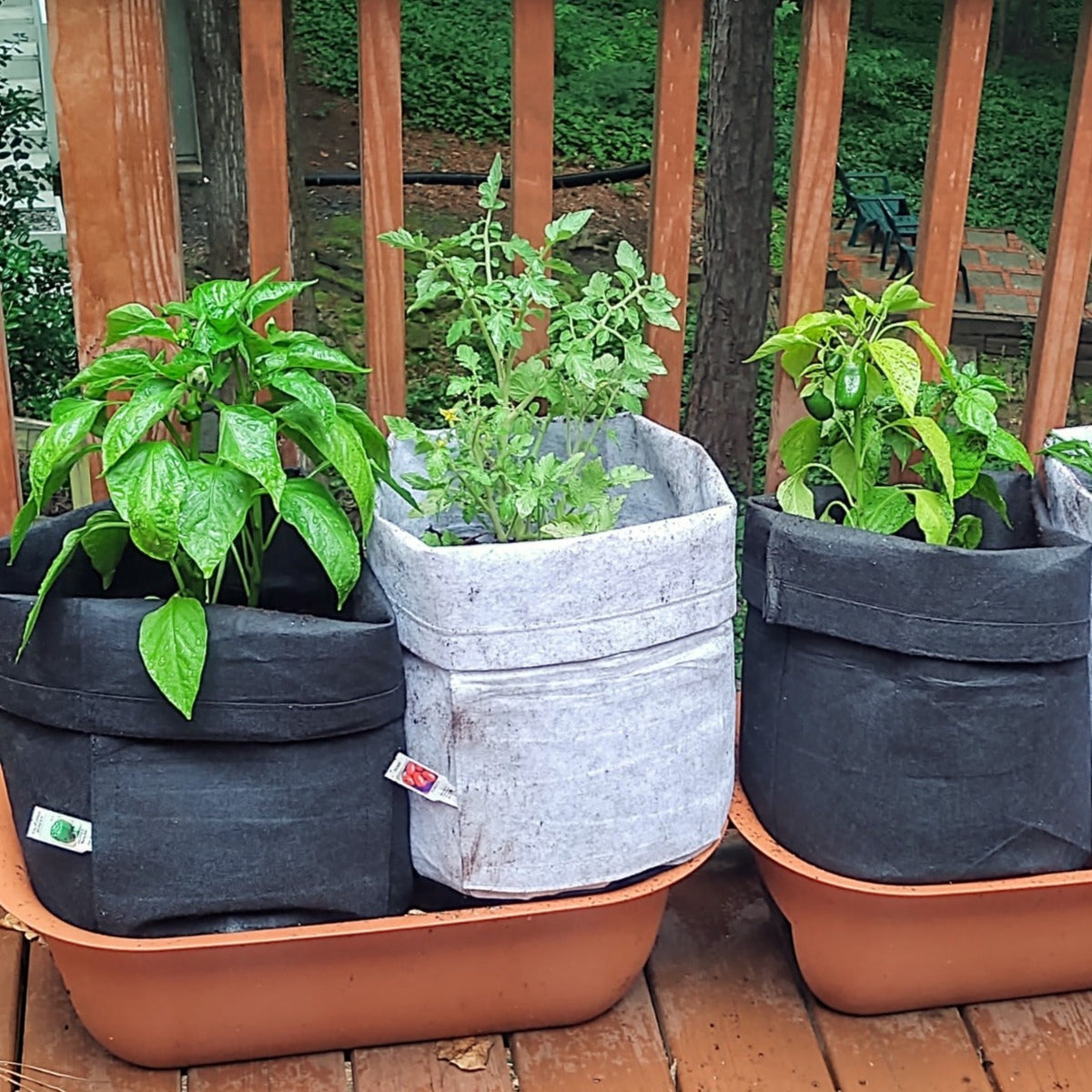 Eco-Friendly Plant Pot Bag