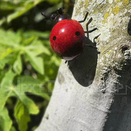 Hand-painted Metal Ladybug Wall Decor-Next Deal Shop-Next Deal Shop