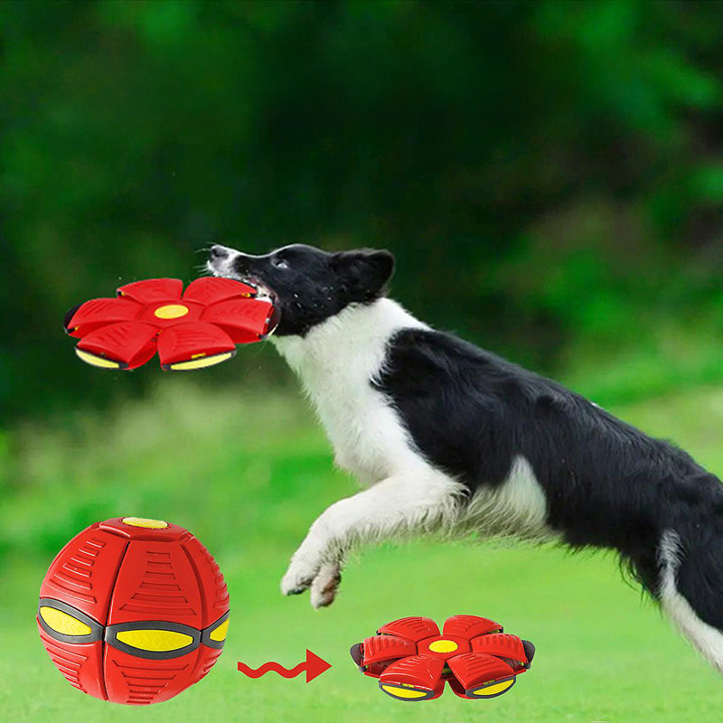 Light Up Flying Saucer Pet Toy Ball-Next Deal Shop-Next Deal Shop