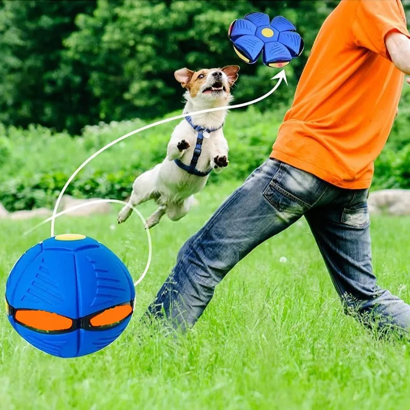Light Up Flying Saucer Pet Toy Ball-Next Deal Shop-Next Deal Shop