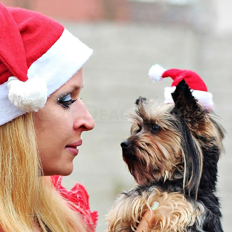Mini Santa Hat for Pet-Next Deal Shop-Next Deal Shop