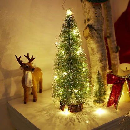 XMAS Copper Wire LED Lights (Waterproof)