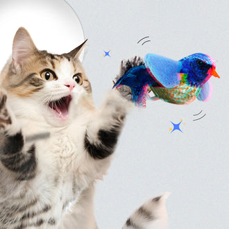 Interactive Cat Toy With Bird Sound
