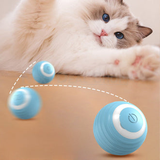 Rechargeable Self-Rolling Pet Toy Ball