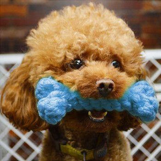 Pet Cotton Rope Chew Toy Bone (5pc)