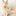 Self Cleaning Pet Brush-Next Deal Shop-Next Deal Shop