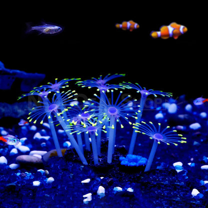 Star Polyps Coral Aquarium Decoration-Next Deal Shop-Next Deal Shop