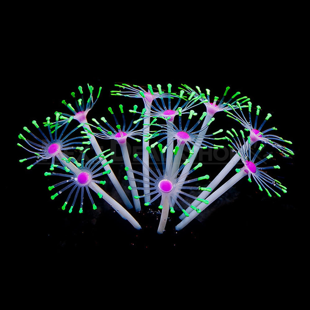 Star Polyps Coral Aquarium Decoration-Next Deal Shop-Next Deal Shop