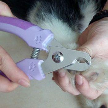 Professional Pet Nail Clipper with 1 Nail File - Next Deal Shop
 - 3