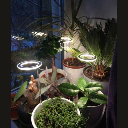 Halo Grow Lights for Indoor Plants (USB Powered)