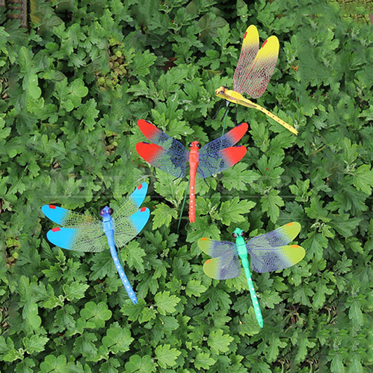 Vibrant Dragonfly Decorations-Next Deal Shop-Next Deal Shop
