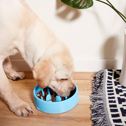 Anti Choke Pet Food Bowl